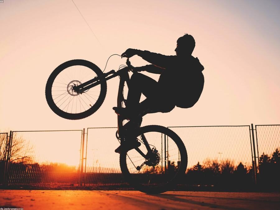 Golden hour at the bike park Golden hour at the bike park
