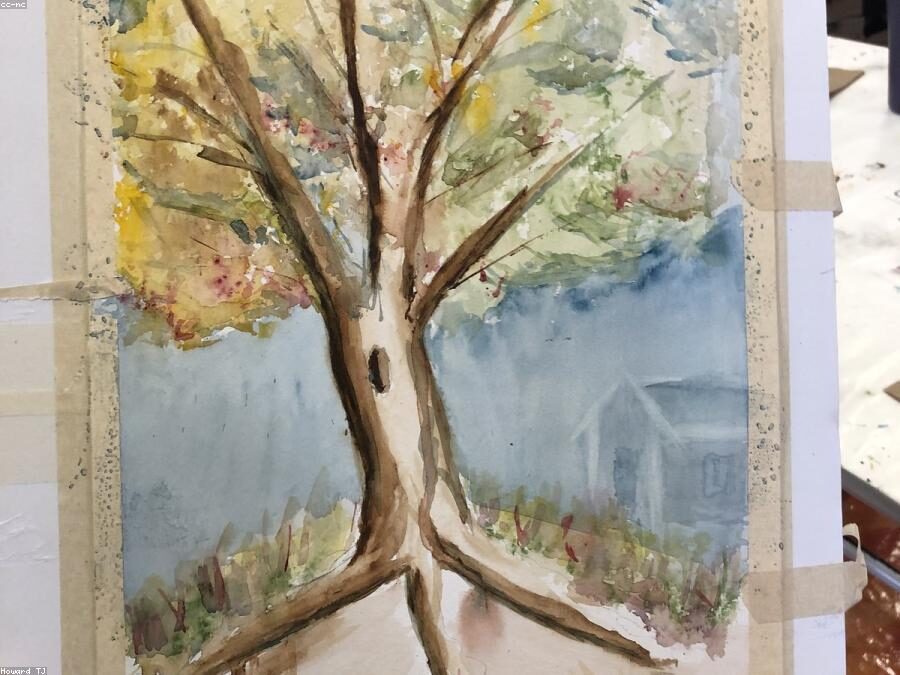 The big maple, watercolor The big maple, watercolor