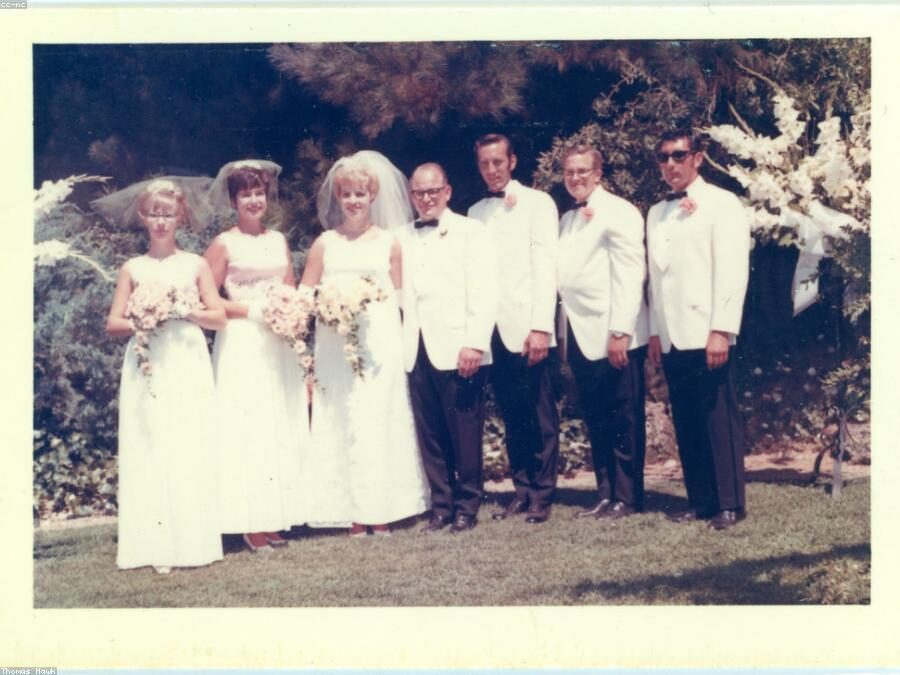 The wedding party The wedding party
